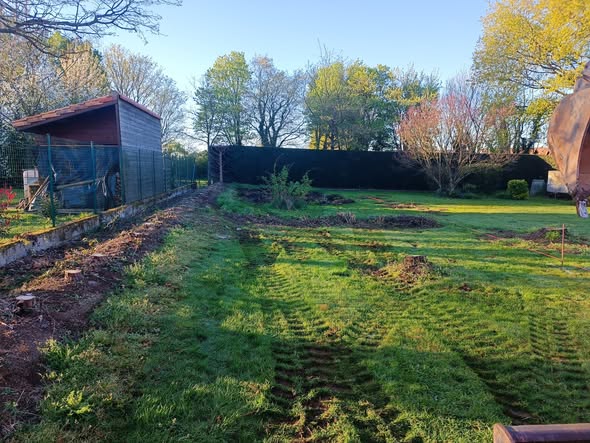 Jardin avant décaissement, traces de chenilles sur la pelouse