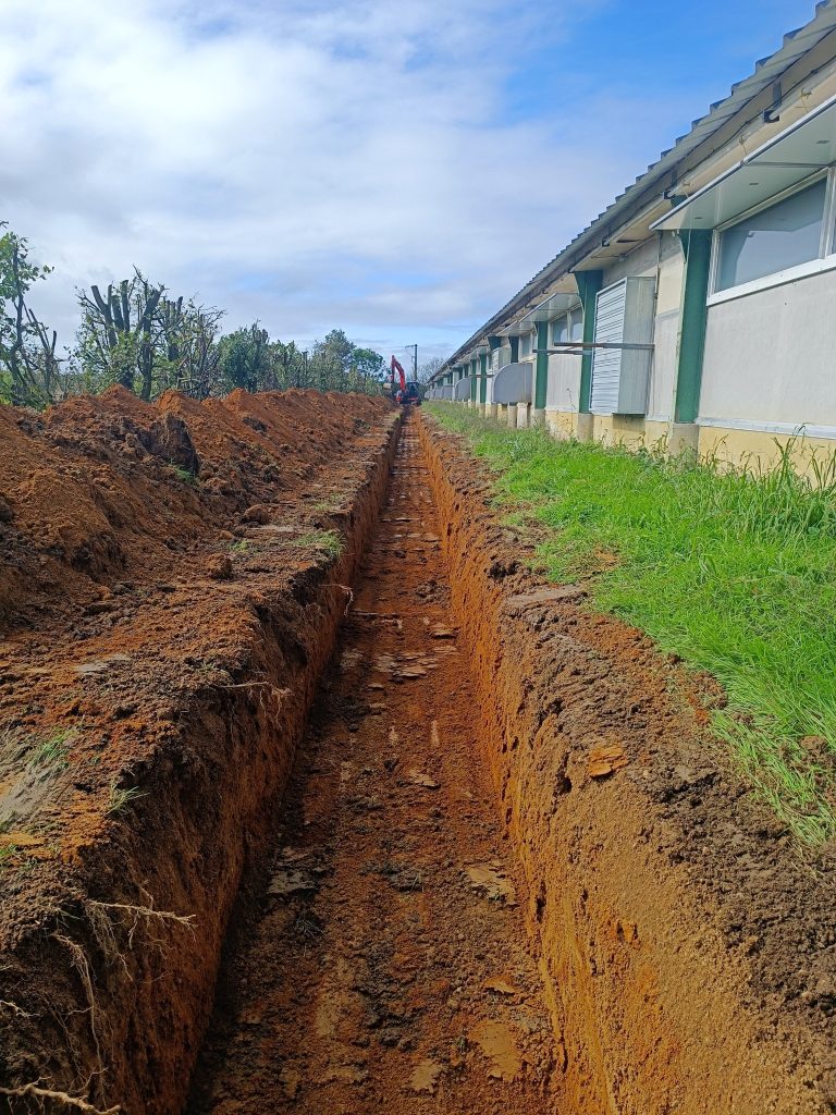 Ouverture d'une tranchée à la mini-pelle le long d'un bâtiment agricole